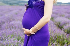 广州代妈哪家佣金高-广州代妈应聘选哪家